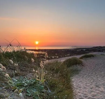 Maison Vue Sur Dans Les Dunes Avec Acces Direct Aux Plages